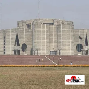 প্রতিবন্ধী অধিকারবিষয়ক সংসদীয় ককাস গঠন, কী করবেন তারা