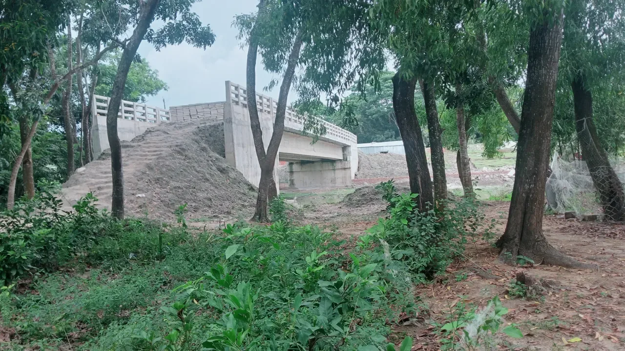 খাল নেই, রাস্তা নেই তবুও নির্মাণ হচ্ছে সেতু